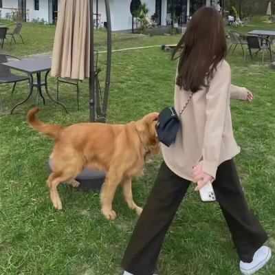 我不在这儿